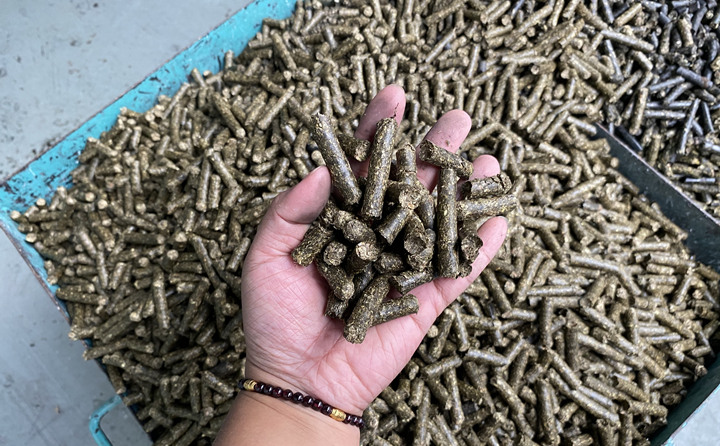 鋸末顆粒機的生物質顆粒燃料